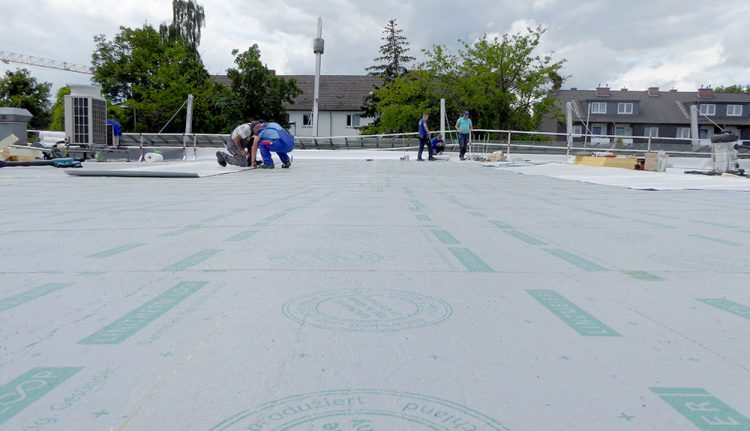 loop_pal_flachdach_01